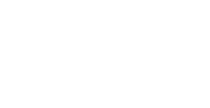 NTN 100th Anniversary Logo