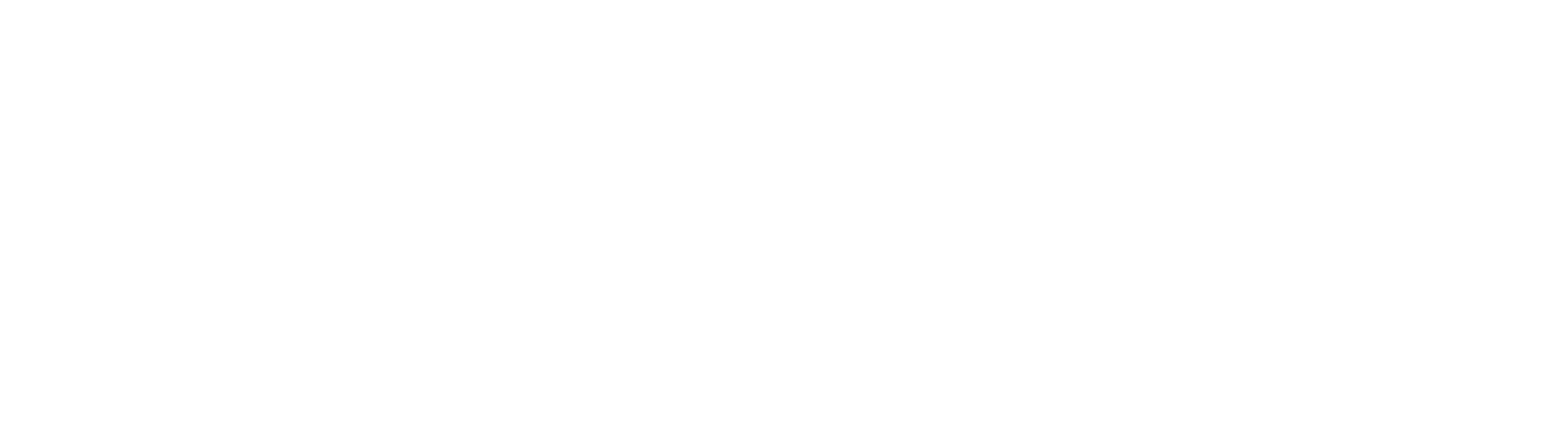 BCA Bearings_HUB Logo_White